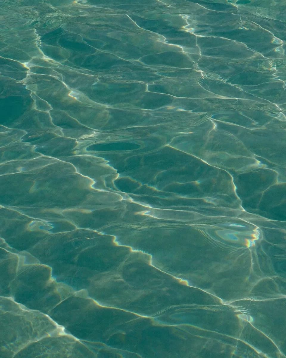 Sunlight caustics rippling across clear turquoise water over pale sand, a Palm Beach texture behind the Palm Lux standard